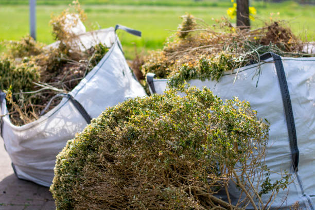 Best Construction Debris Removal  in Florissant, MO